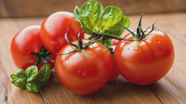 西紅柿減肥的正確方法,營(yíng)養(yǎng)師推薦:西紅柿減肥的15天高效燃脂方案