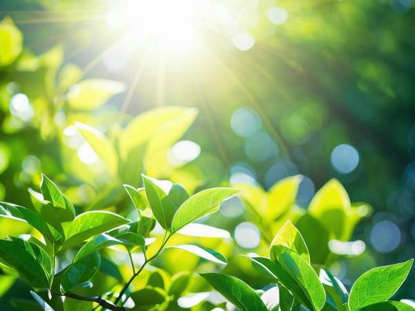 物理防曬霜和化學(xué)防曬霜區(qū)別，物理防曬反射光化學(xué)防曬吸收光的本質(zhì)區(qū)別