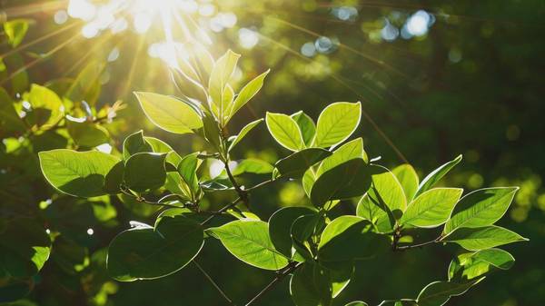 物理防曬霜和化學(xué)防曬霜區(qū)別，物理防曬反射光化學(xué)防曬吸收光的本質(zhì)區(qū)別