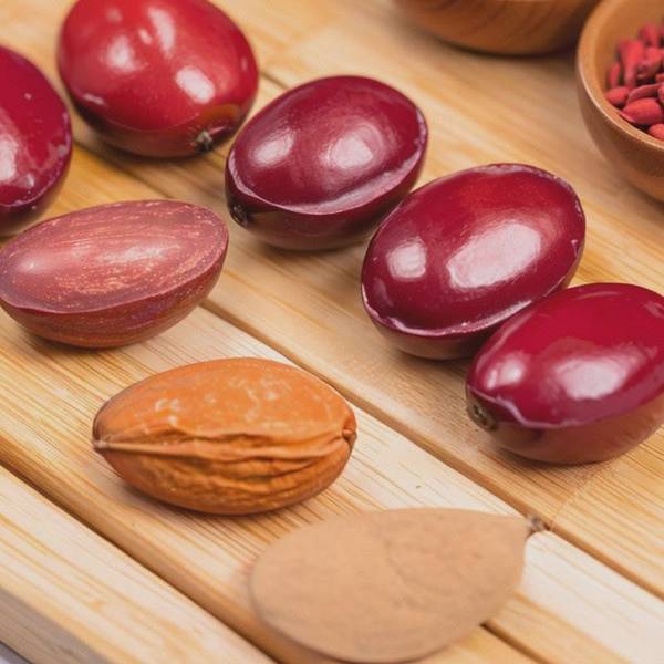 什么食物補血效果最好最快，最能快速補血的十大常見食物與食療秘方